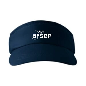 Visiere