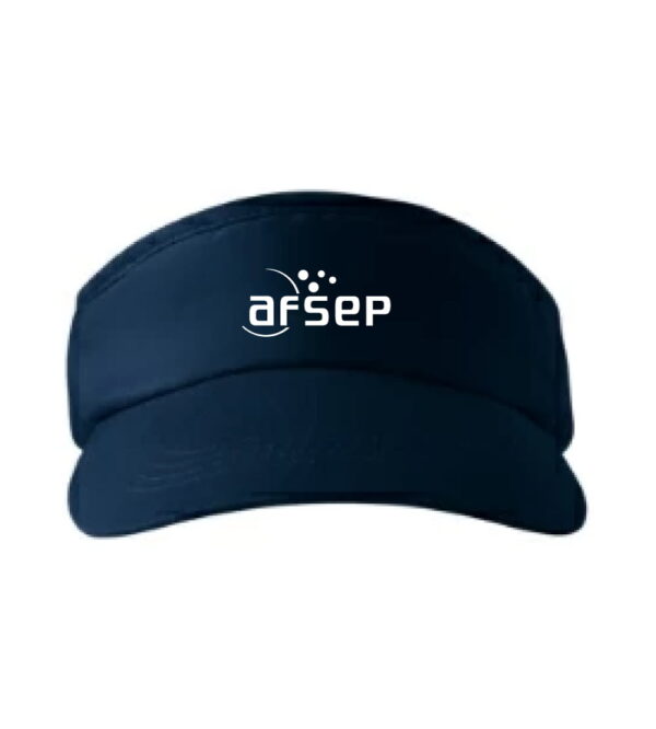 Visiere